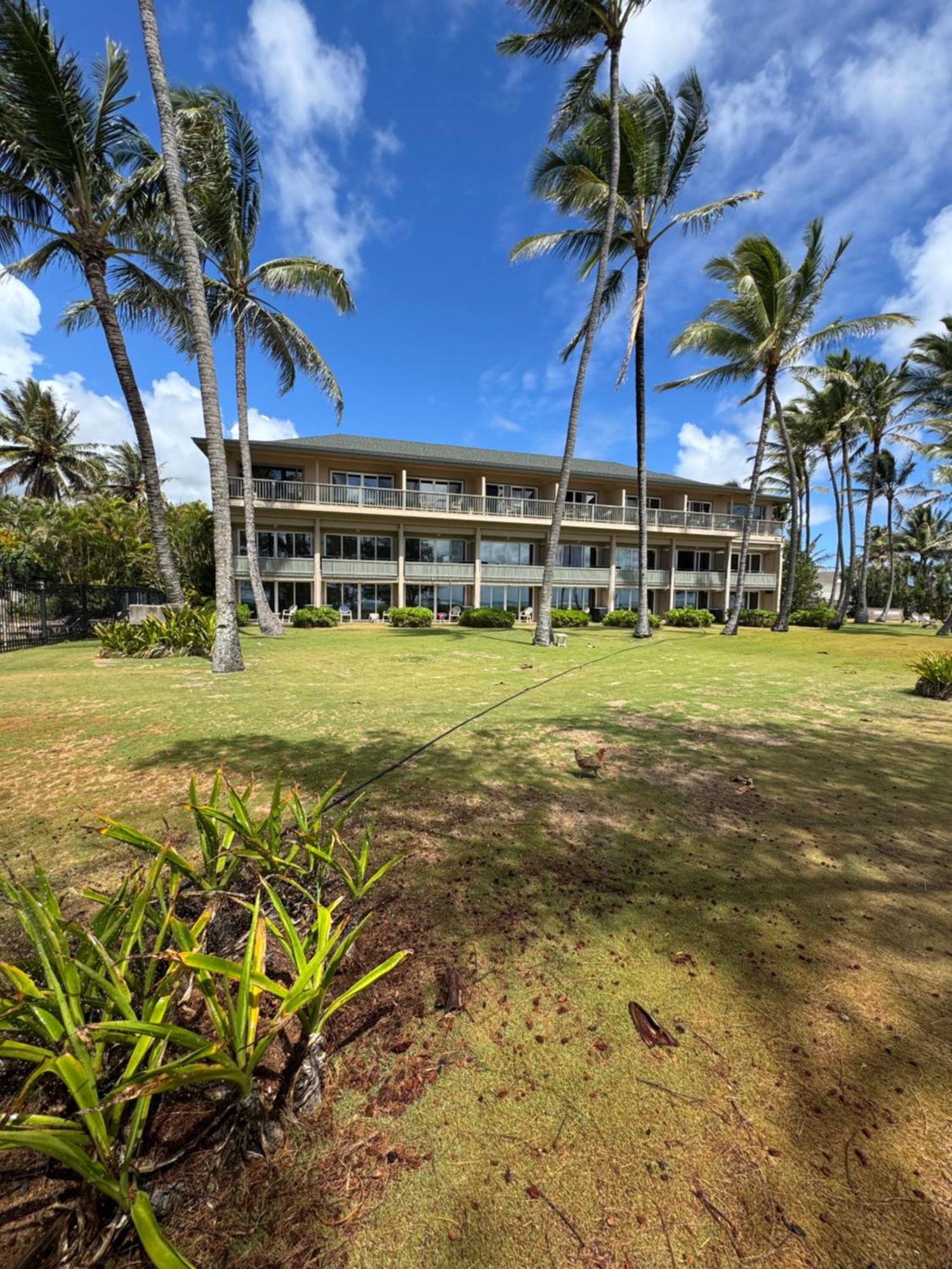 Coral Reef Hotel